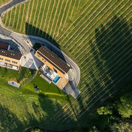 Steirerblicke - Domaine Sernau Muscat Gamlitz